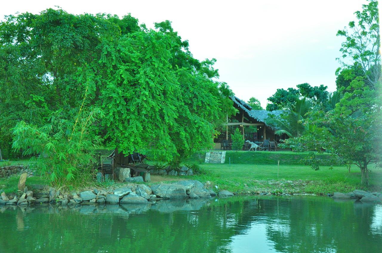 Hotel Thuduwa Camp Embilipitiya Exterior foto